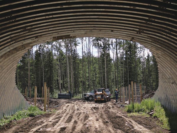 Sharkbite-wildlife-underpass, wildlife crossings