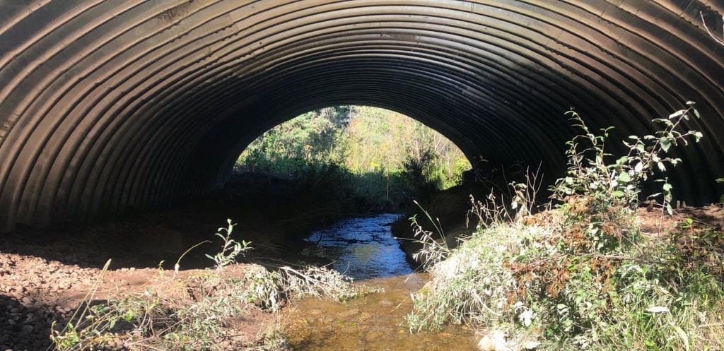 Close view of restored stream flowing under AIL GRS Bridge